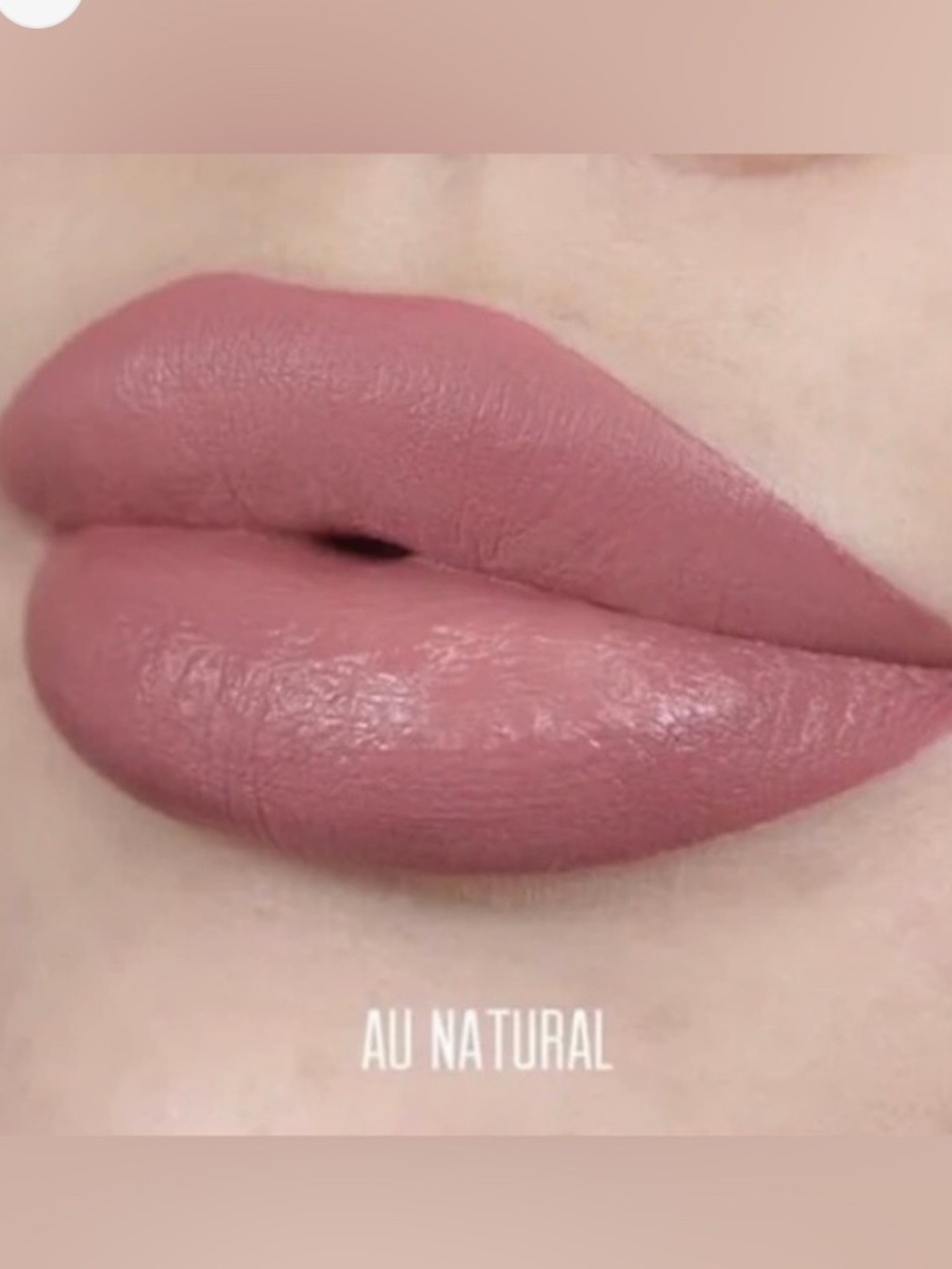 Bodyography AU NATUREL Lip Lava Liquid Lipstick Perfect Pink Nude Matte NEW PC